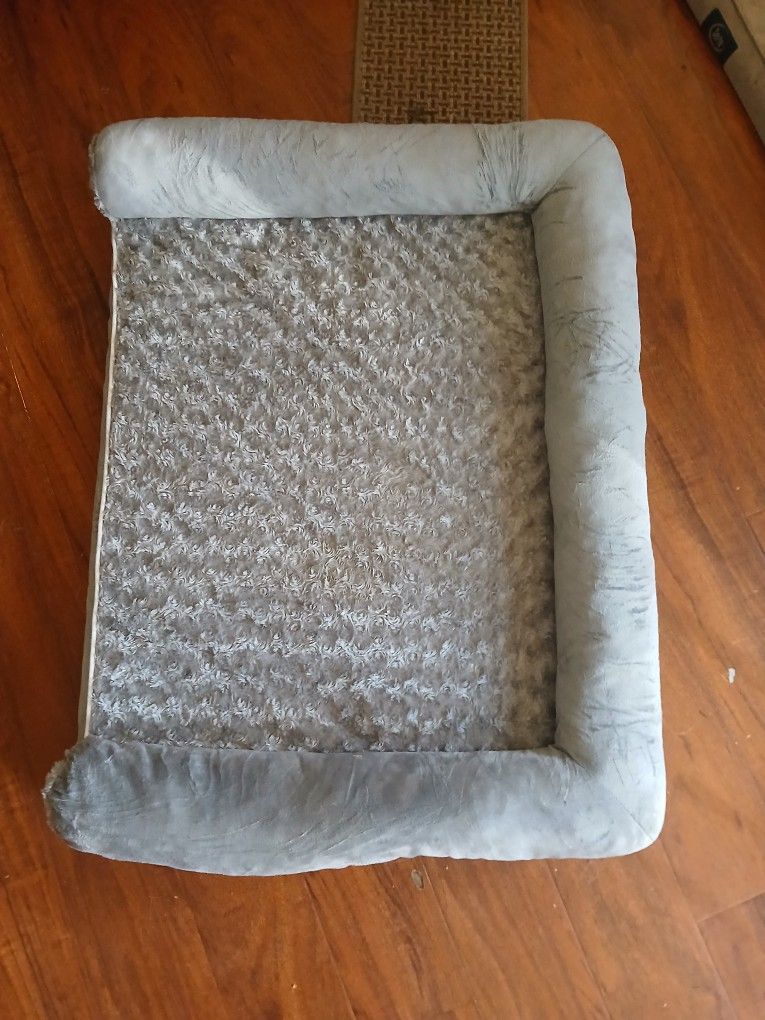 New Dog Bed
