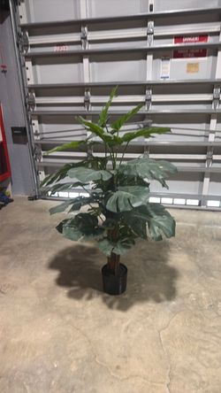 Tree decor
