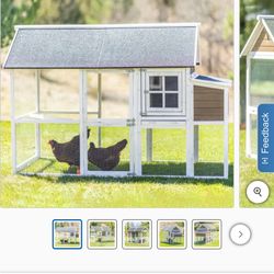 Chicken Coop