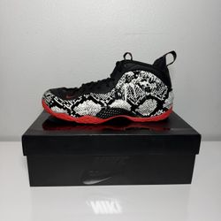 Nike Foamposites size 13