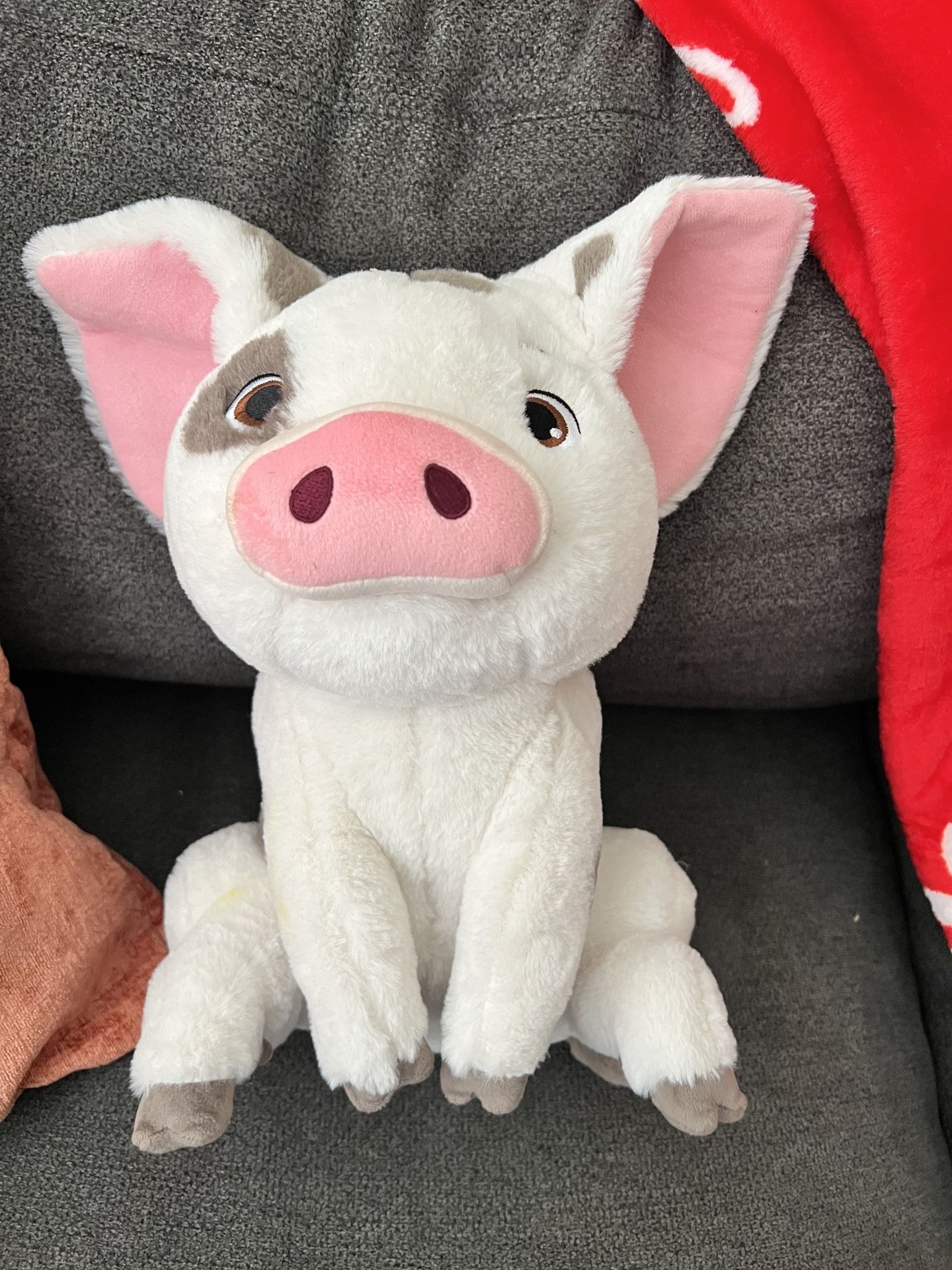 Pua Stuffed Animal From Moana