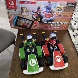 Mariokart Live Mario and Luigi Racers