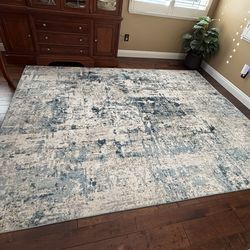 Area Rug 7x10