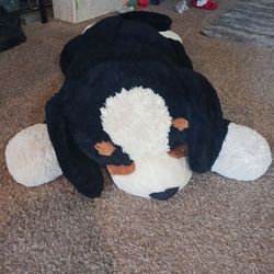 Big clean Cute stuffed animal doggy