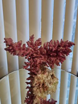 Reef decor