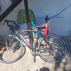 Schwinn Road Bike / Gear Speeds:14