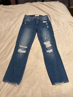 Flying Monkey Distressed Straight Leg Jeans