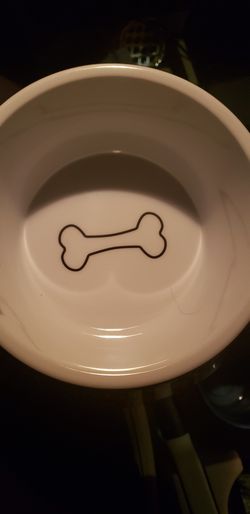 Doggie Bowl