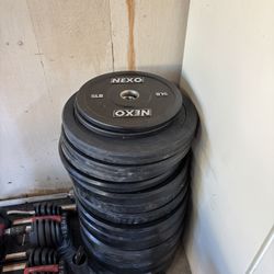 Bumper Plates  Bowflex Dumbbells 