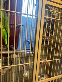 Extra large Amazon cage