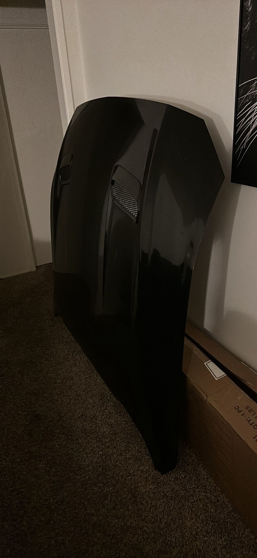 Hood Ford Mustang Gt 2019