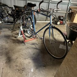 Blue Bike 