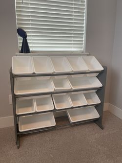 Storage Organizer with Removable Storage