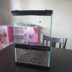 Reptile Tank