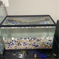 Fish Tank Without Fish 
