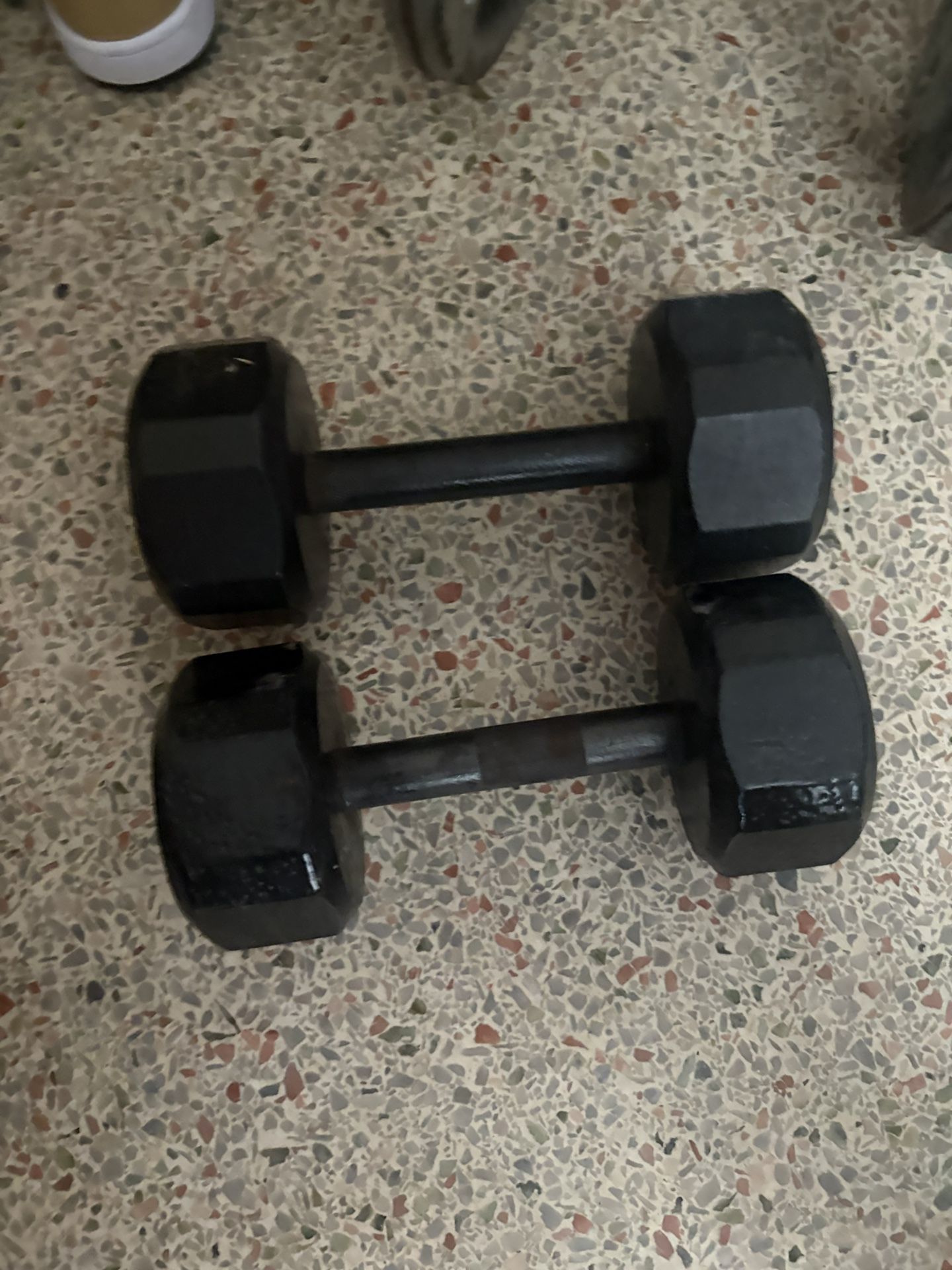 10 Pound Dumbells