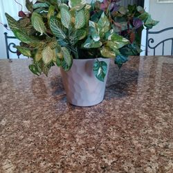 Decorative, Artificial, Plant, Plants 