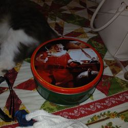 Coca Cola Tin