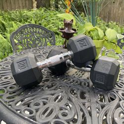 2- 20 lbs. each Weights- Like New!