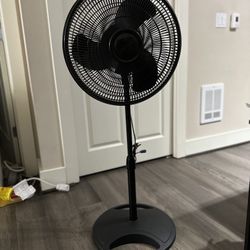 Lasko 16” 3-Speed Adjustable Oscillating Pedestal Fan, Black