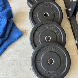 140 LBS ROGUE Hi-Temp BUMPER Weight Plates/2-45,2-25/ 433.00 @ Rogue