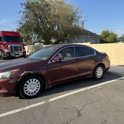 2010 Honda Accord
