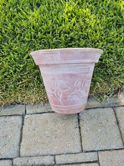 Terra Cotta Pot