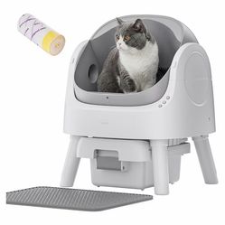 Automatic Litter Box