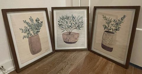 Set of 3 Plant Pictures