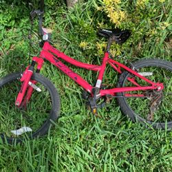Kids Bike