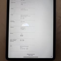 iPad Pro