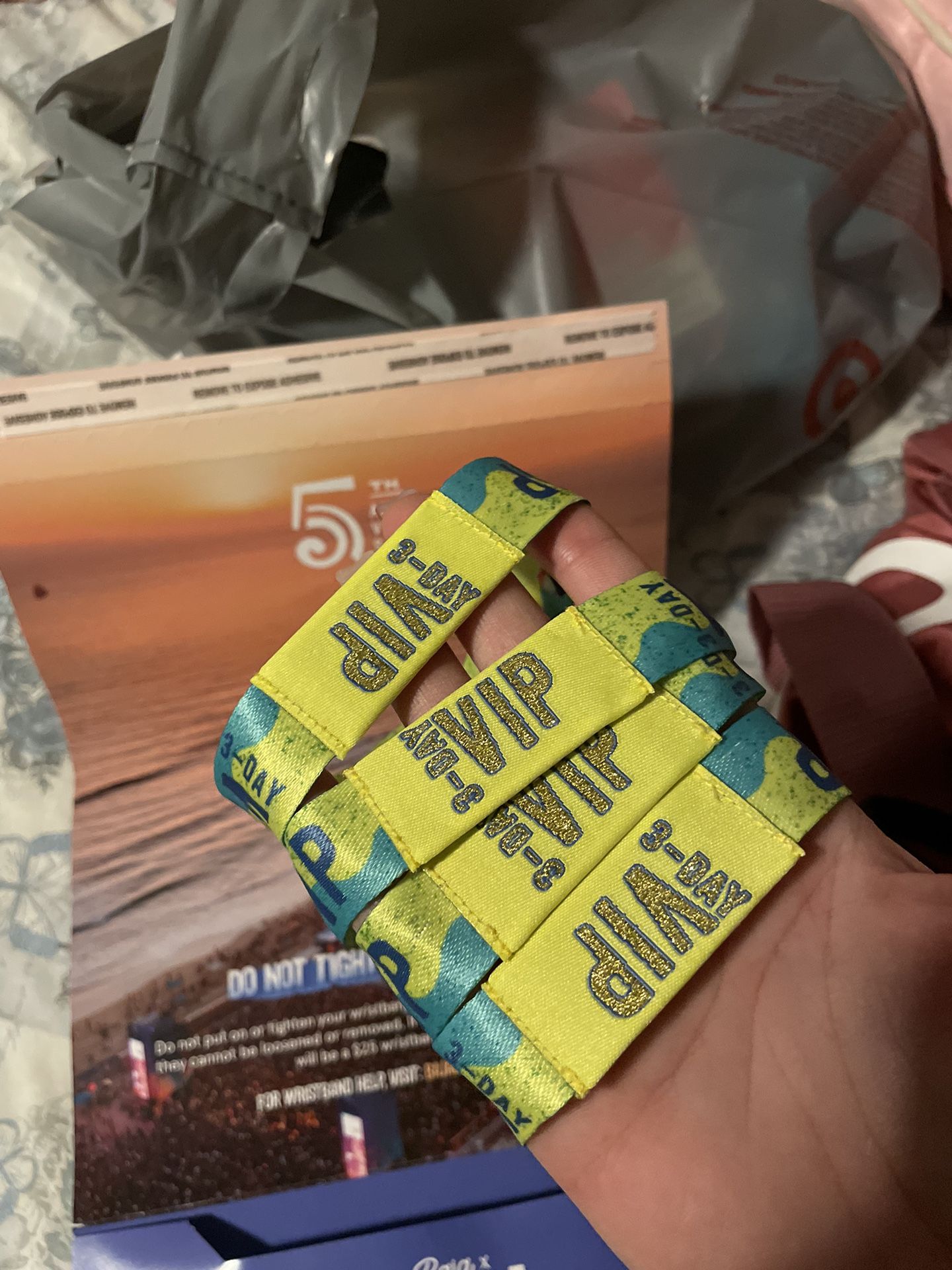 VIP BAJA BEACH FEST 2023 W/ vip after party
