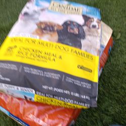 Dog Food 
