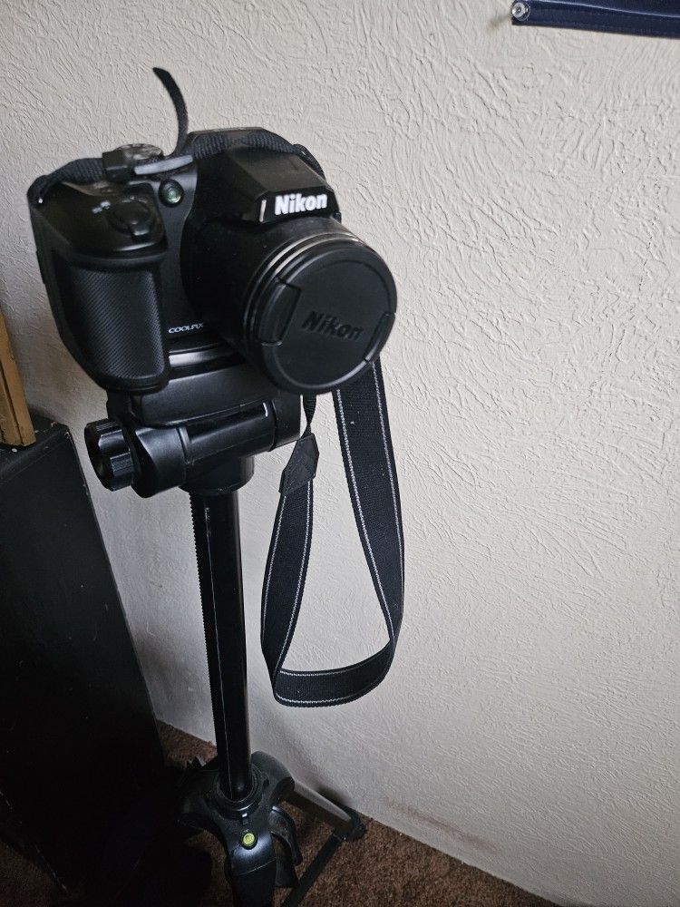 New With Stand