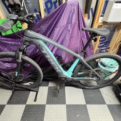 Trek Powerfly E Mountain Bike L Frame