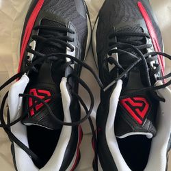 Giannis Nike Shoes. 