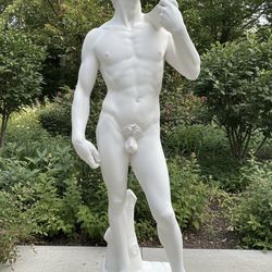 Michelangelo’s David Statue
