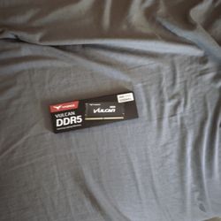 Vulkan Ddr5 64gb