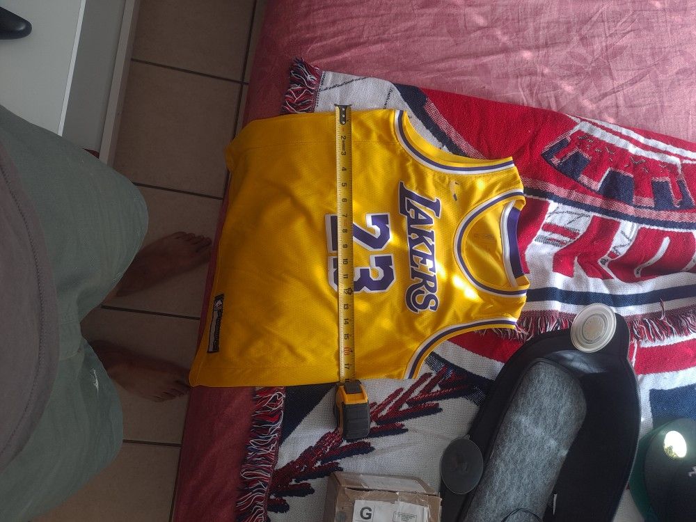 Kids Size - 18" × 24" Lebron James Jersey