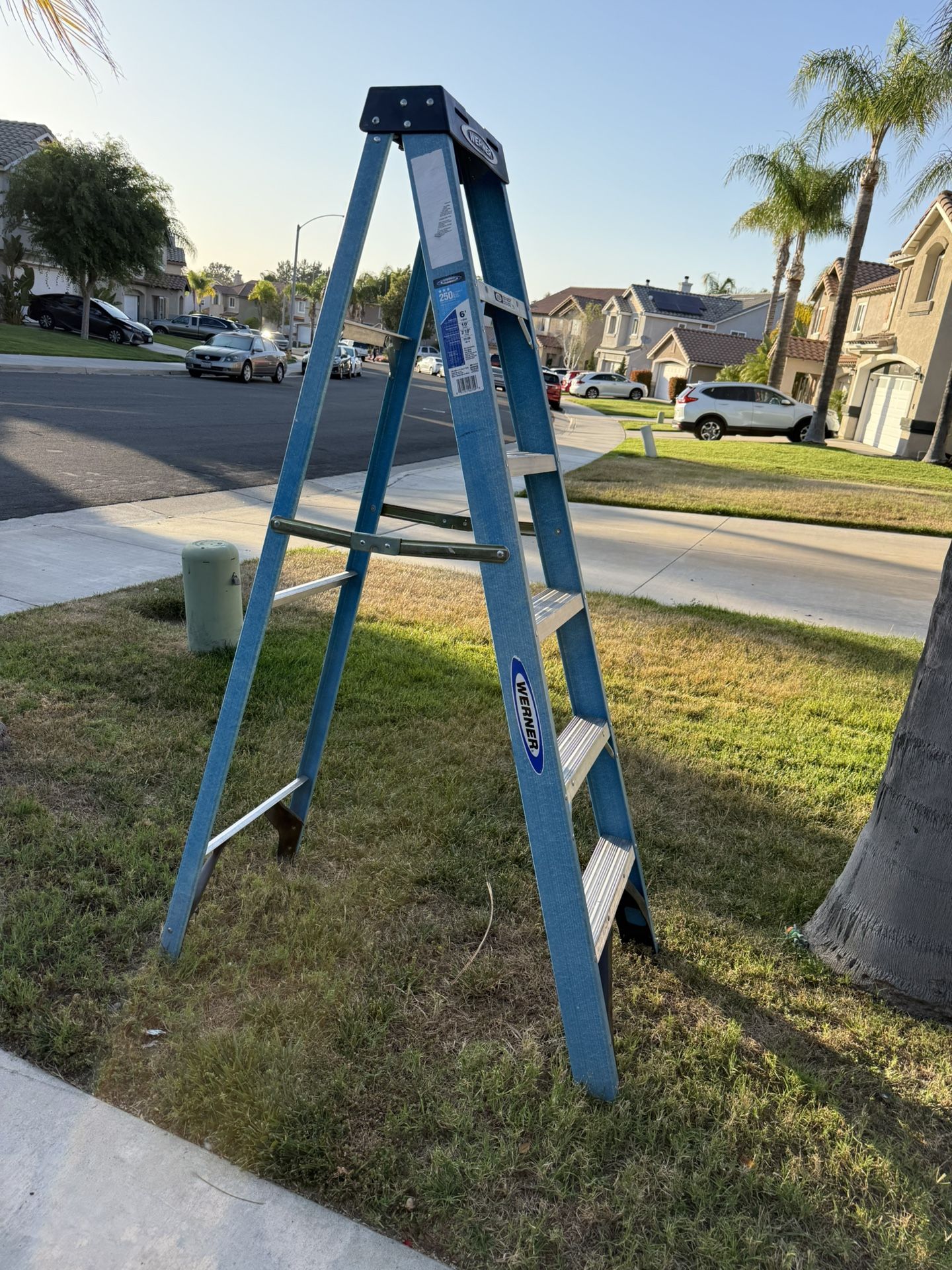 6 Foot Ladder