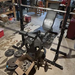 Workout Bench W  Bar And Weights