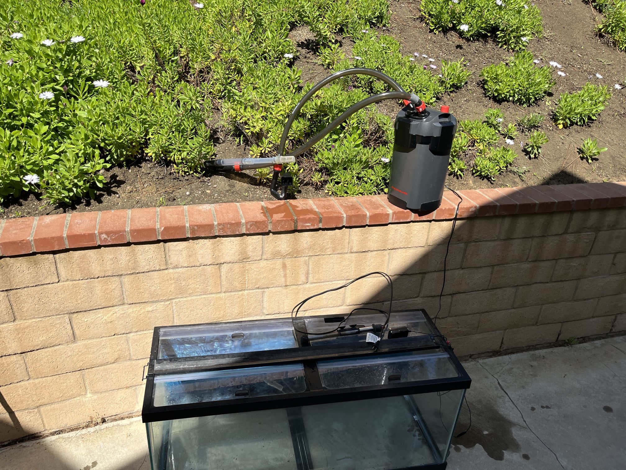 80 Gallon Aquarium