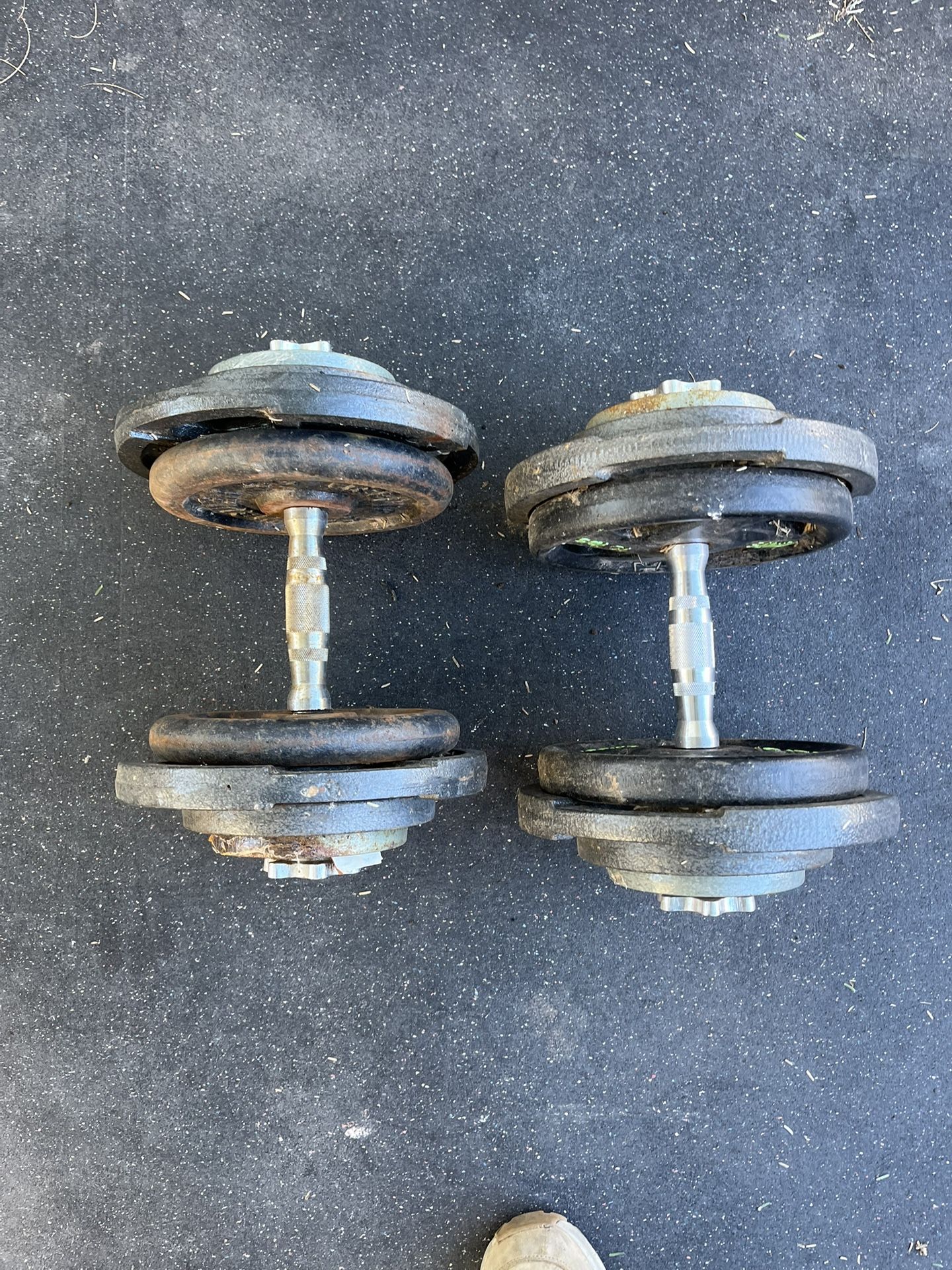 55lb Adjustable Dumbbell Set 1in Weights