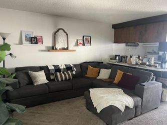 Large Gray 3pc Living Spaces Sectional