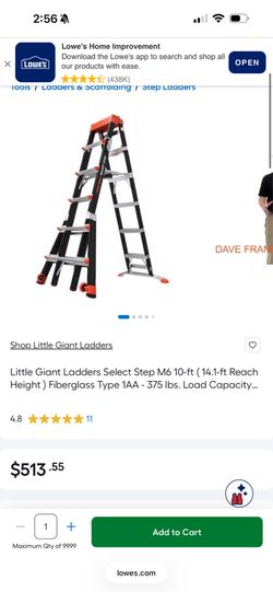 Little giant dark horse ladder