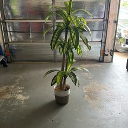 Artificial Dracaena Tree, 5FT Lifelike Fake Plant with Realistic Texture, Fake Tropical Yucca Floor Plant in Pot, Green Plant Silk Tree for Living Roo