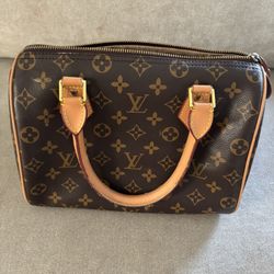 Louis Vuitton Hand Bag