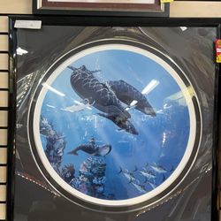 Sea life picture portrait