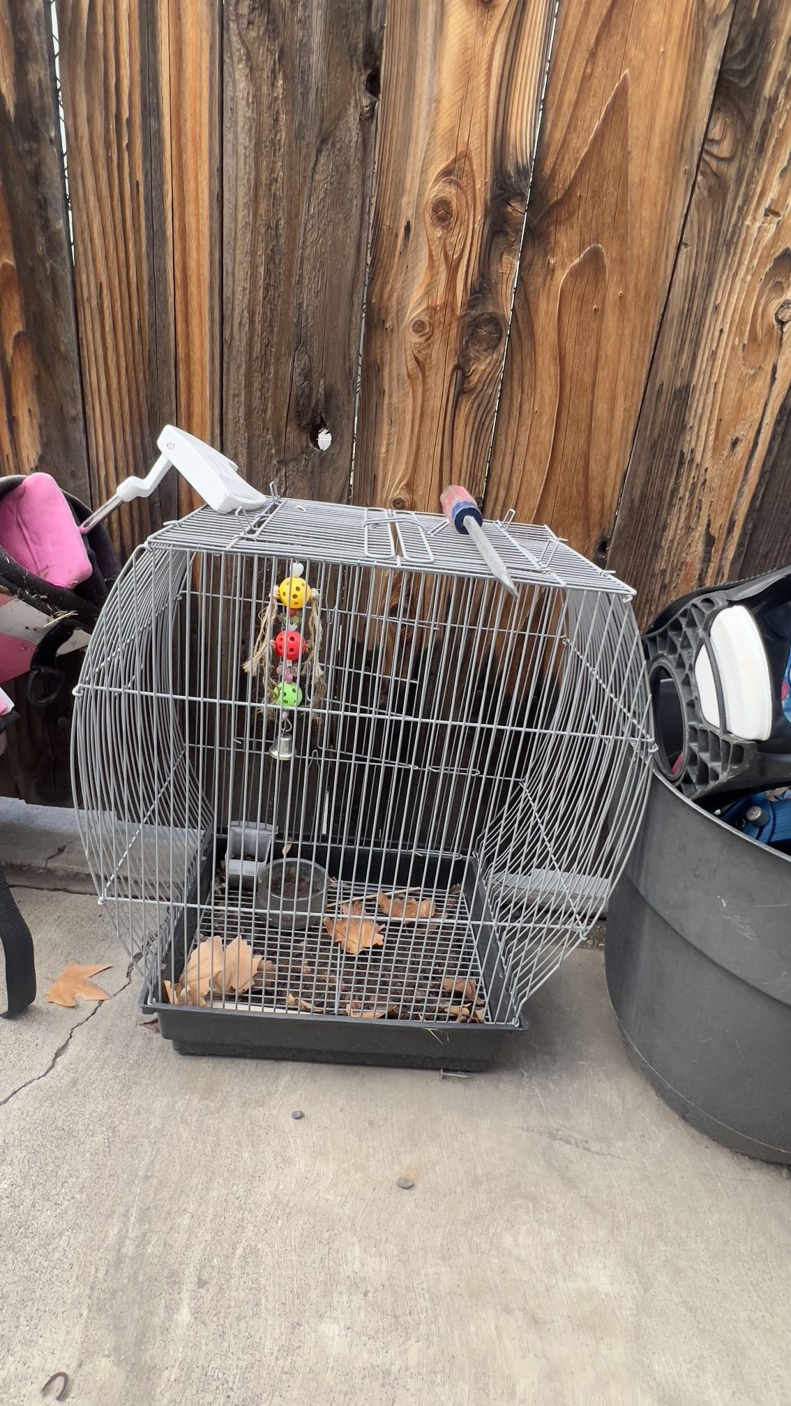 BIRD CAGE AND REPTILE CASE