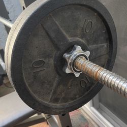 Weight Bench + Weights